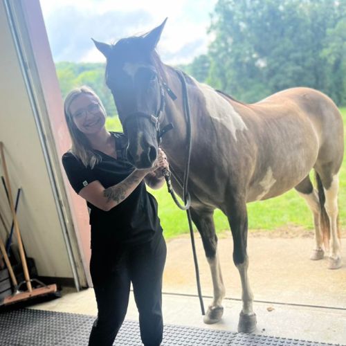 vet staff with a horse